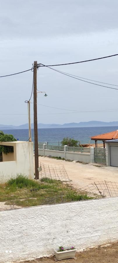 To Spiti Stin Aliki Apartment อาร์เตมีดา ภายนอก รูปภาพ